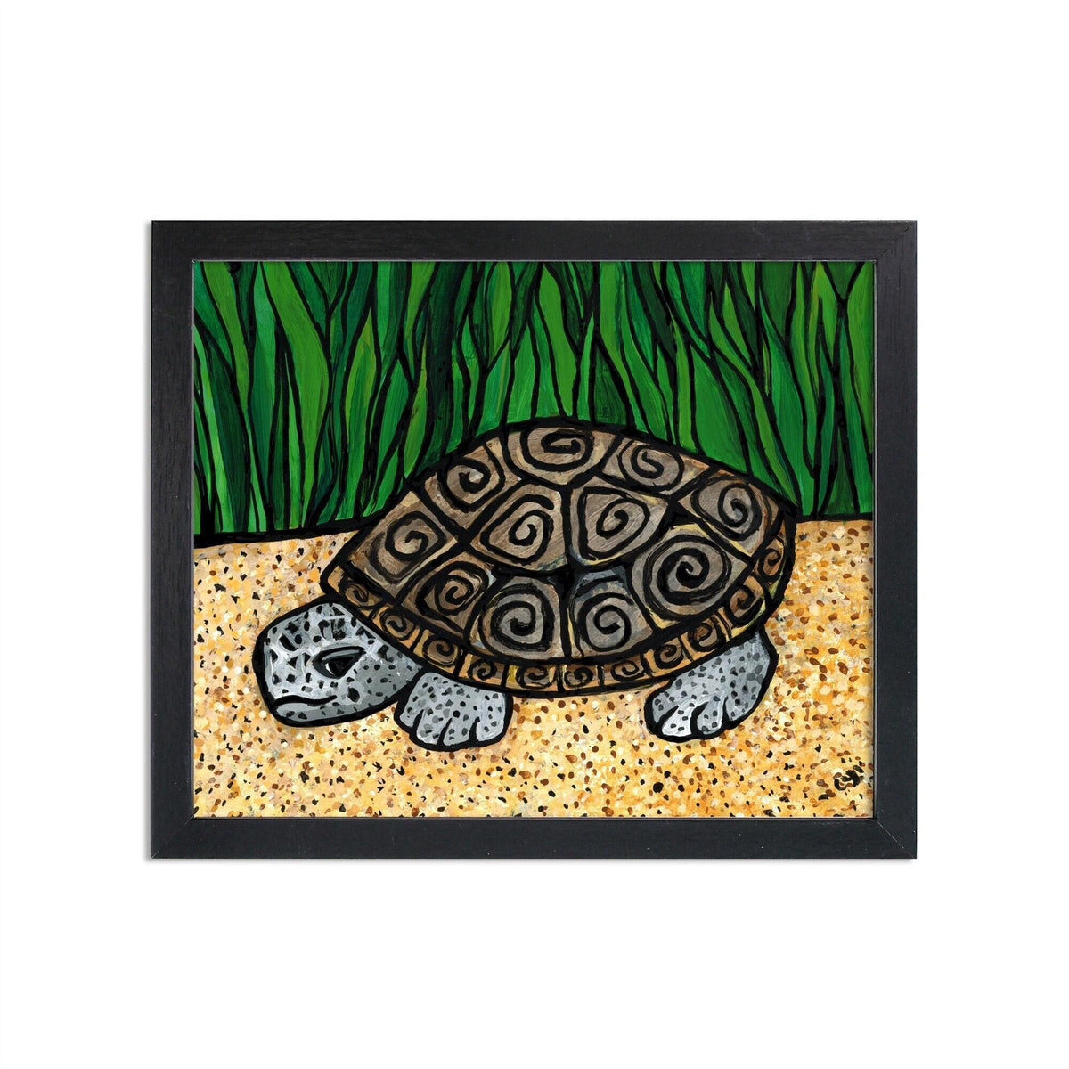 Cute diamondback terrapin on sand with green bay grasses