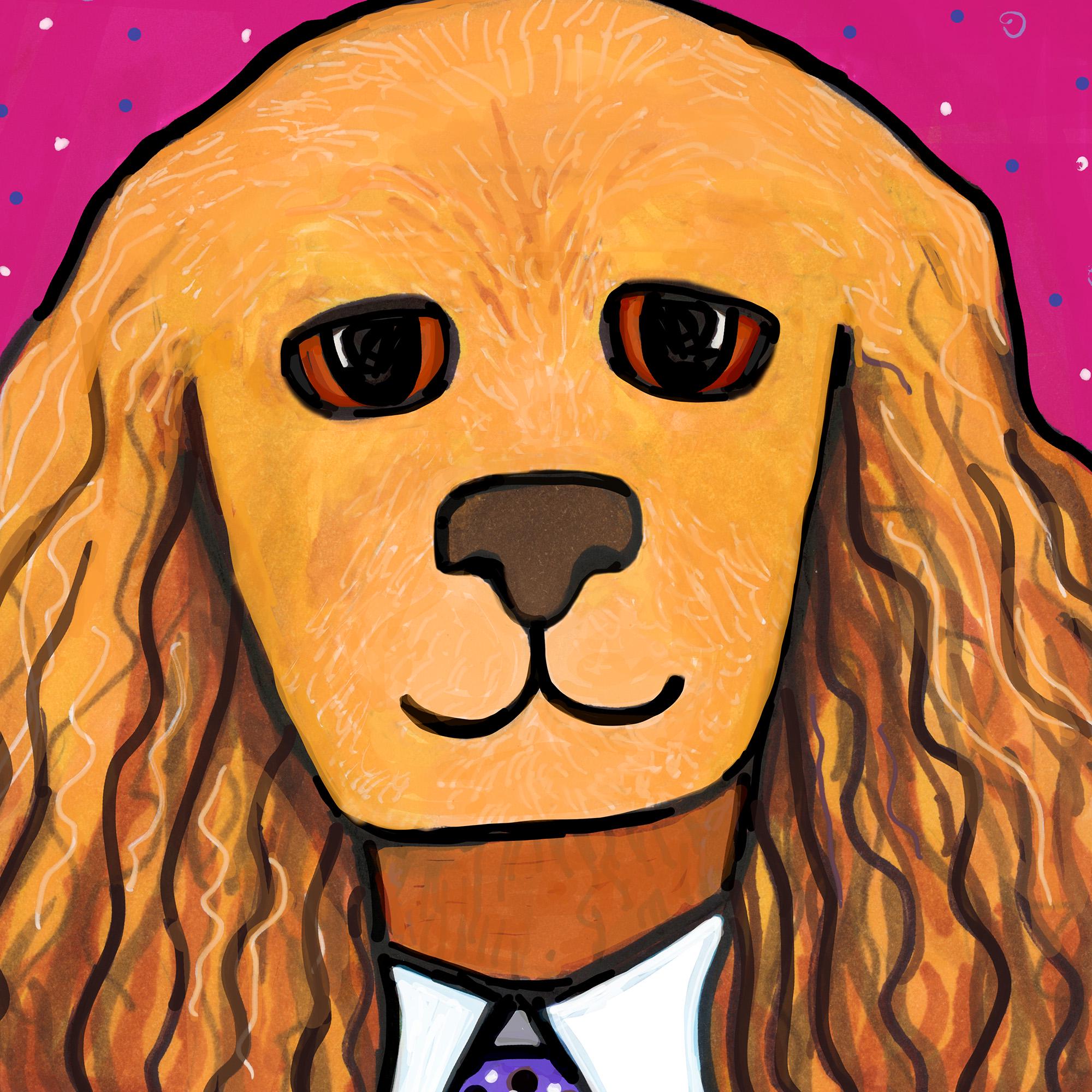 Detail of Tanner the Cocker Spaniel&#39;s face