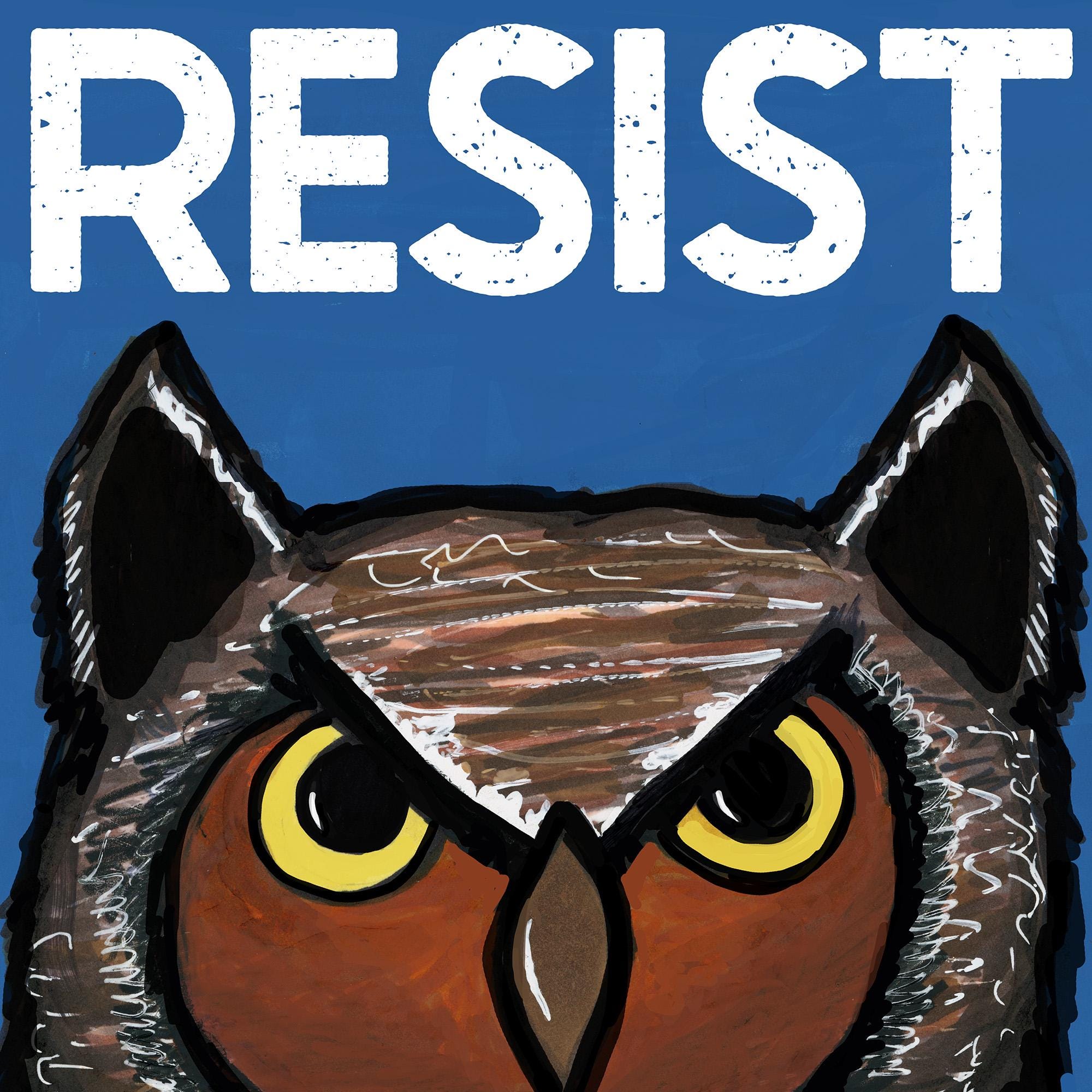 Detail of Wise Owl Resist are featuring a close up of the owl&#39;s face and the white resist letters