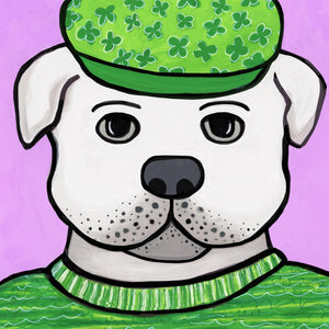 detail of Sean the Bulldog's face
