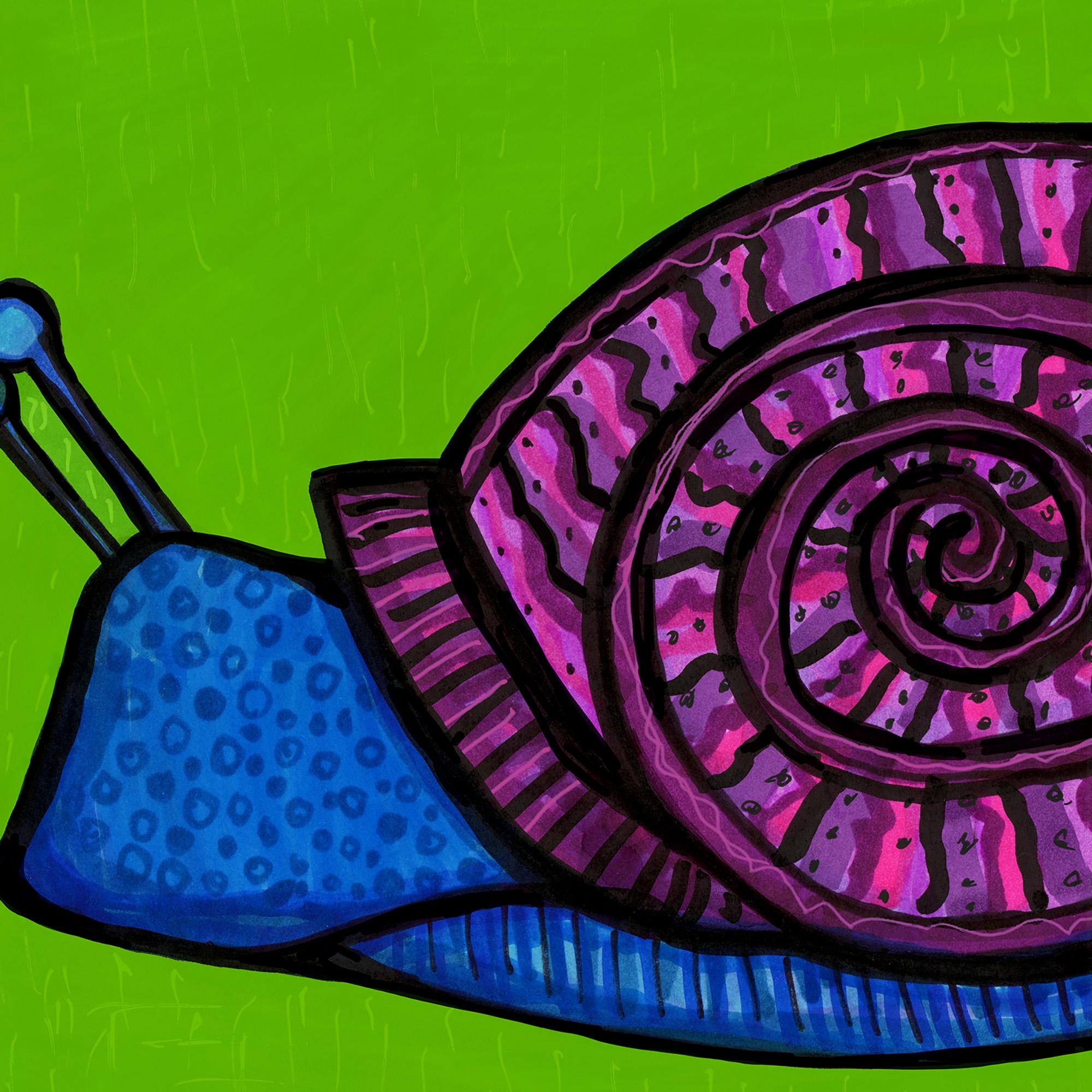 detail of snail art print featuring pattern lines on the shell and accent dots on the snail
