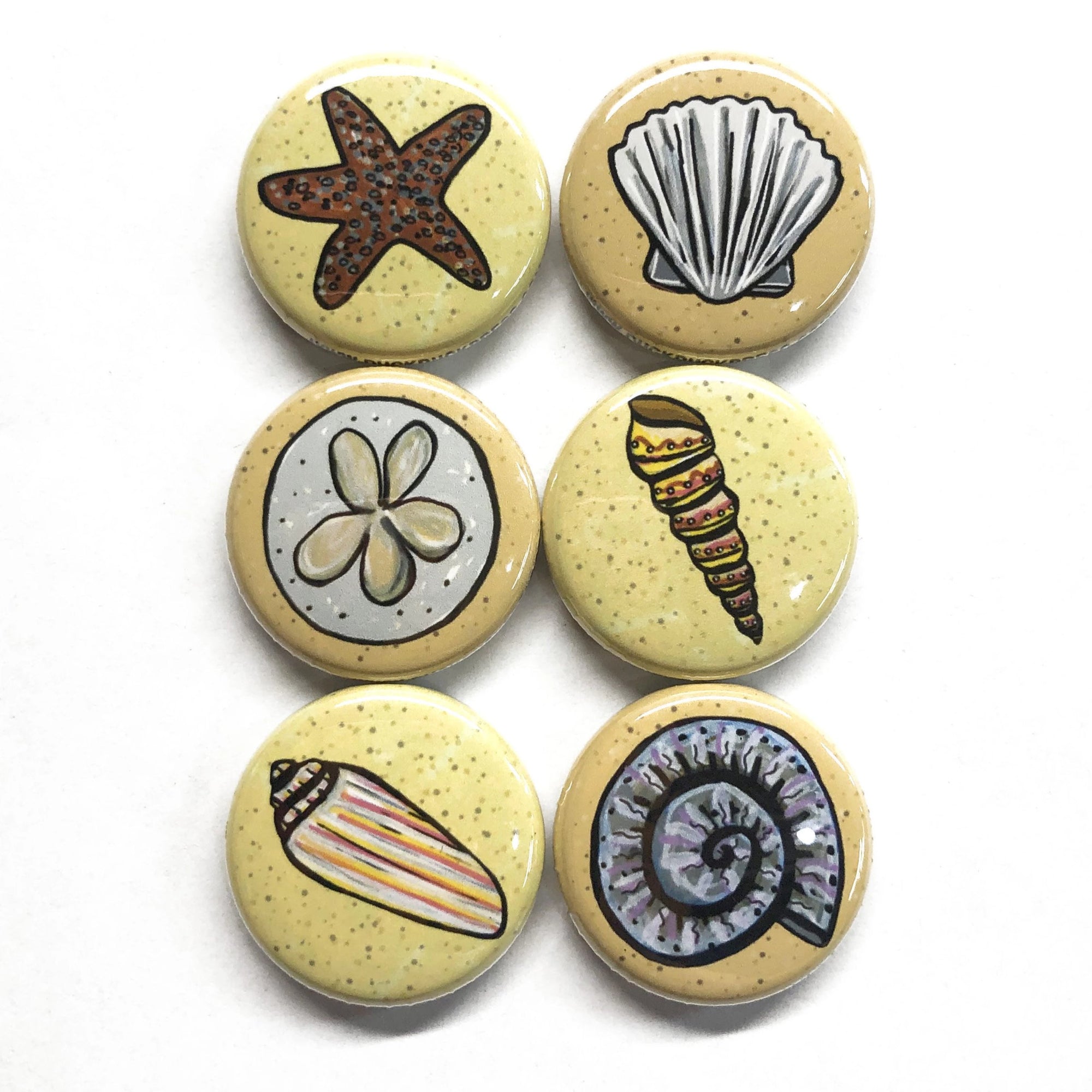 Seashell Magnet Set or Pin Back Button Set
