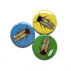 Cicada Pin Back Button, Magnet, or Mirror - Choose Cicada on Blue, Green, or Yellow - 1 Inch, 1.25 Inch, or 2.25 Inch - Brood X - Insect